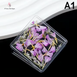 Fiori Secchi A1