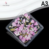 Fiori Secchi A3