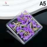 Fiori Secchi A5