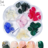 Fiori Secchi 04