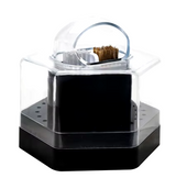 PORTA PUNTE ESAGONALE BLACK con spazzolino - Il Salone Delle Unghie